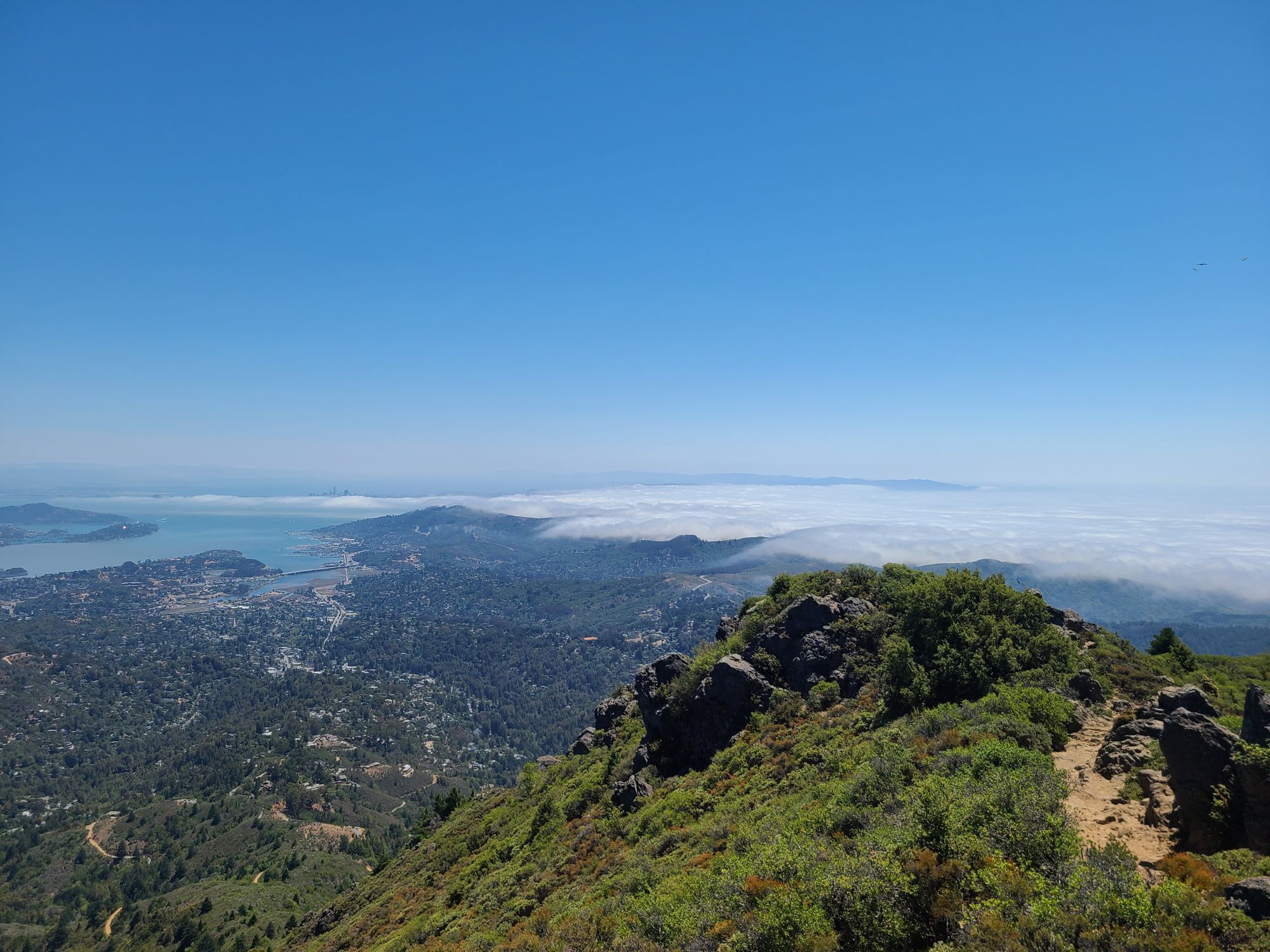 Muir woods Stinson Beach & Mount Tamalpais