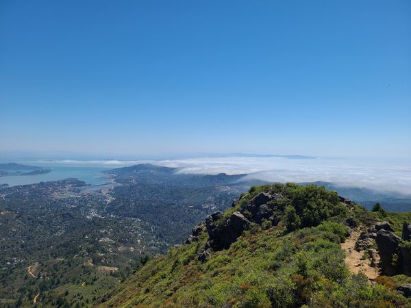 Muir woods Stinson Beach & Mount Tamalpais